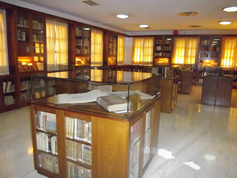 Δημόσια Ιστορική Βιβλιοθήκη Ανδρίτσαινας